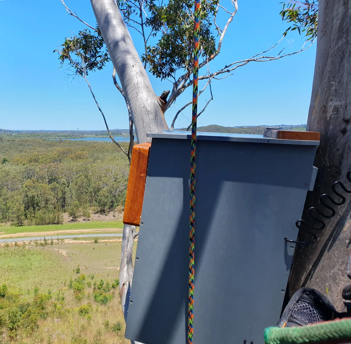 Nesting Box